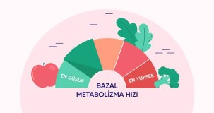 Bazal metabolizma ne demek?